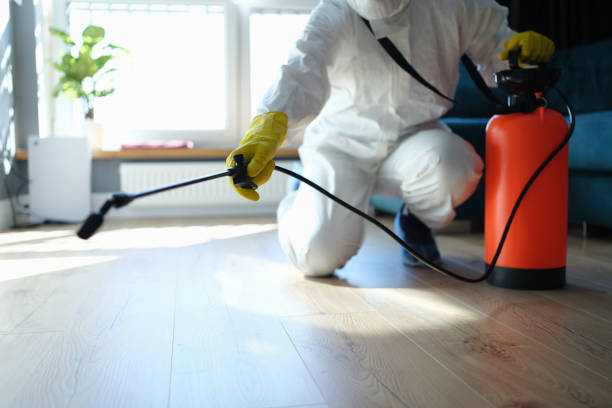 Reliable Odor Removal contractor in Bridgton, ME by Trauma Clean Pros